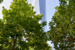 edefrutos_25072019_234732