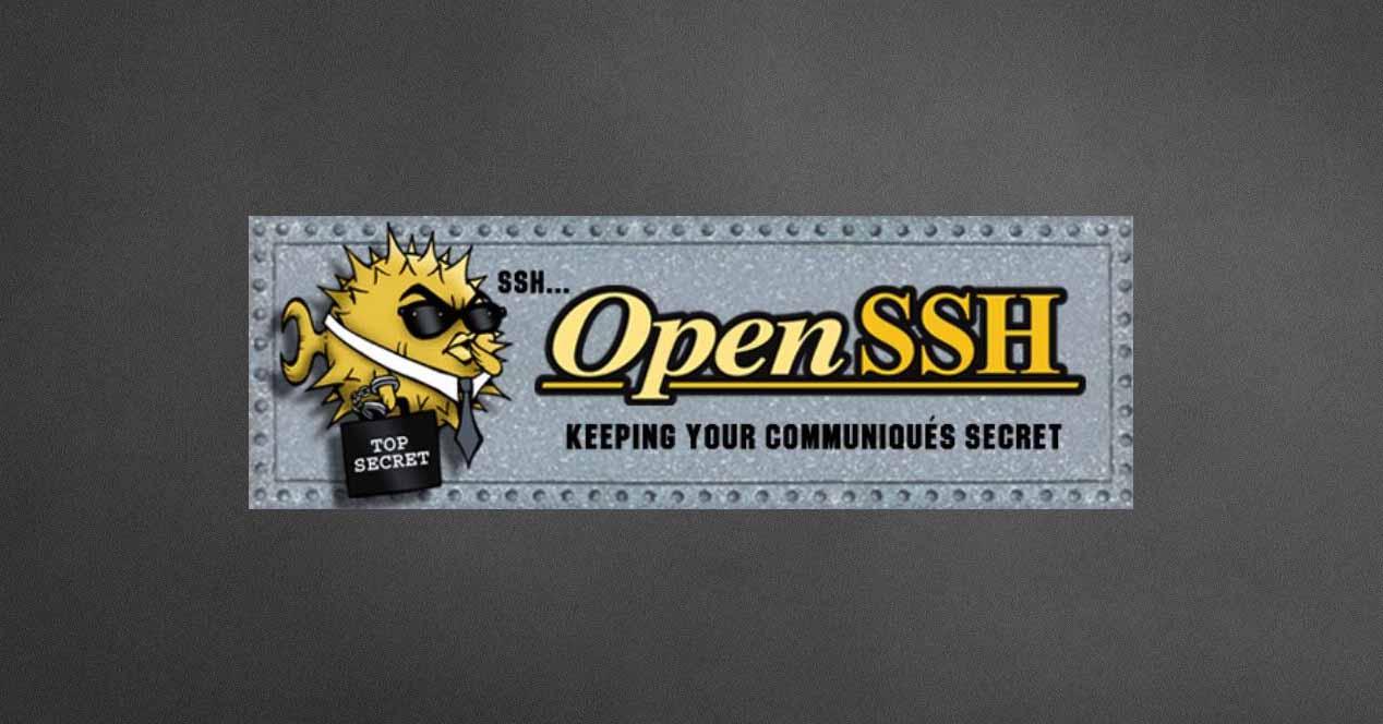 Servidor OpenSSH en Linux: Manual de configuración para máxima seguridad 2 openssh 8 3 novedades 17